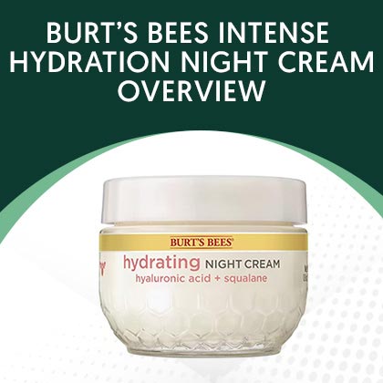 Burt's Bees Intense Hydration Night Cream